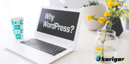 Build Your Online Presence on WordPress